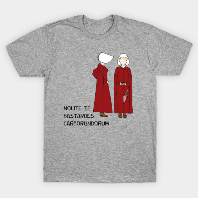 Offred's Motivation Handmaids Tale TShirt TeePublic